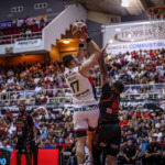 Leones defienden el Pachín